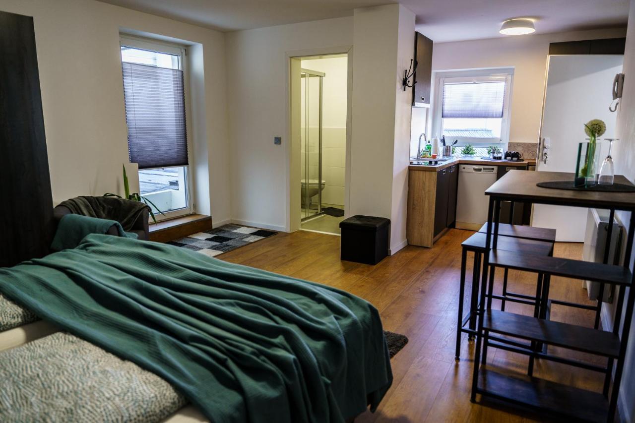 Mosel-apartments-koblenz Appartement Coblence